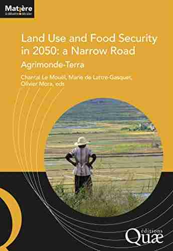 Land Use and Food Security in 2050: a Narrow Road: Agrimonde Terra