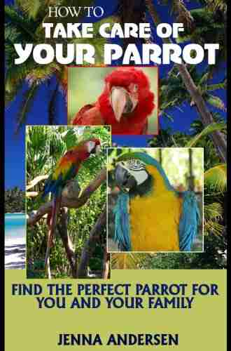 How To Take Care Of Your Parrot