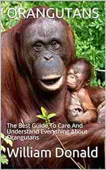 ORANGUTANS: The Best Guide To Care And Understand Everything About Orangutans