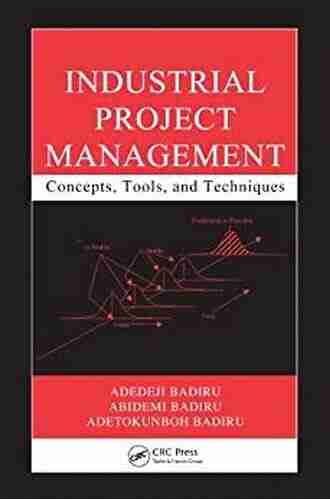 Industrial Project Management: Concepts Tools and Techniques (Systems Innovation Series)