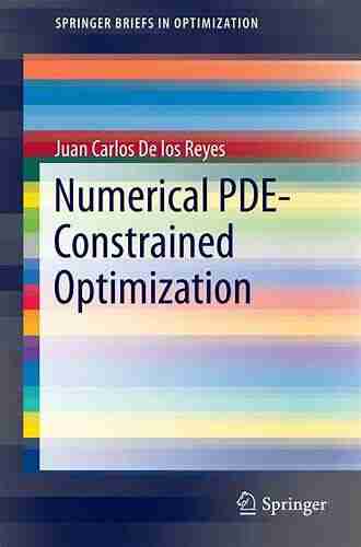 Numerical PDE Constrained Optimization (SpringerBriefs in Optimization)