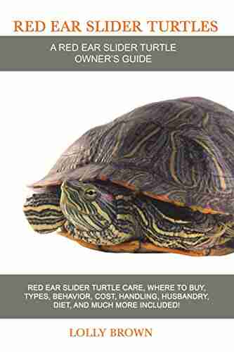 Red Ear Slider Turtles: Red Ear Slider Turtle care where to buy types behavior cost handling husbandry diet and much more included A Red Ear Slider Turtle Owner s Guide