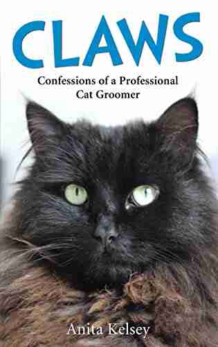 Claws Confessions of a Professional Cat Groomer: Confessions of a Cat Groomer