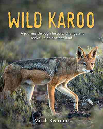 Wild Karoo Michael Buckley