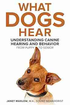 What Dogs Hear: Understanding Canine Hearing and Behavior From Puppy to Senior