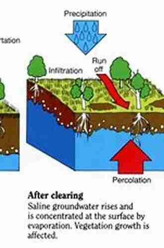 Soil Salinity Management in Agriculture: Technological Advances and Applications (Innovations in Agricultural Biological Engineering 9)