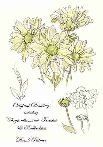 Original Drawings including Chrysanthemums Freesias and Rudbeckias (Sketchbook Art)