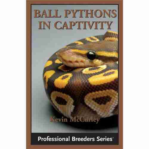 Ball Pythons In Captivity Kevin McCurley