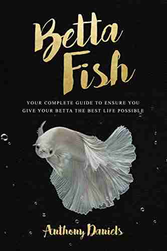 Betta Fish: Your Complete Guide To Ensure You Give Your Betta The Best Life Possible