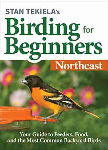 Stan Tekiela s Birding for Beginners: Rocky Mountains: Your Guide to Feeders Food and the Most Common Backyard Birds (Bird Watching Basics)